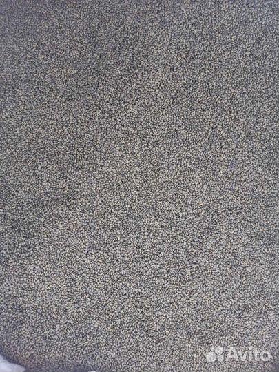 Семена люцерны