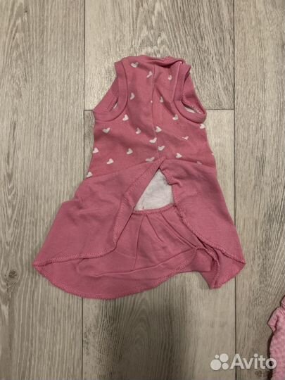 Одежда для маленьких собак