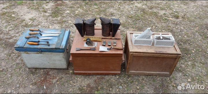 Пчелы пасека