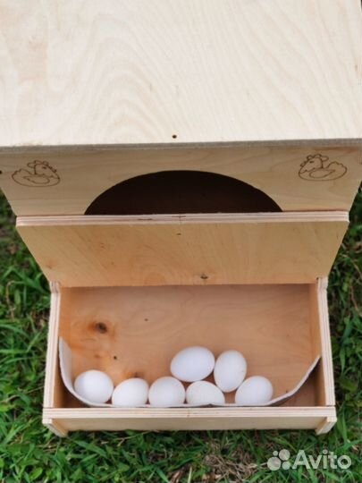 Гнездо для куриц с яйцесборником