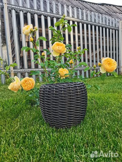 Плетёные кашпо