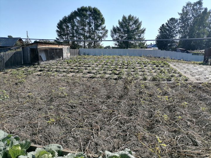 Дом 33,8 м² на участке 21,5 сот.