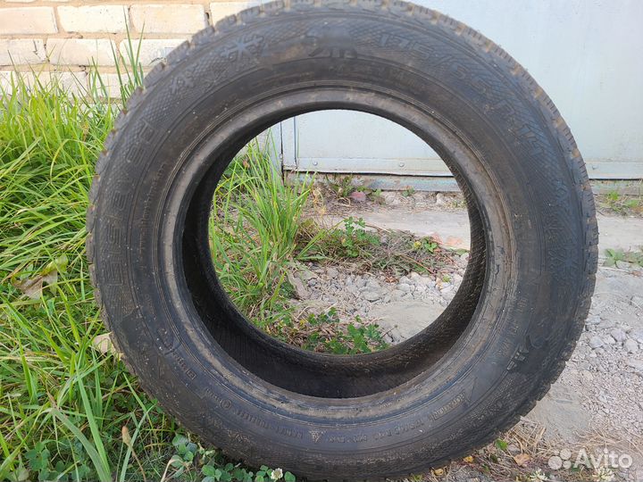 Gislaved Nord Frost 5 175/65 R14 82T