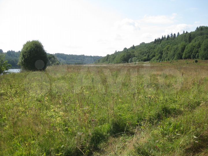 Участок 15 сот. (ИЖС)