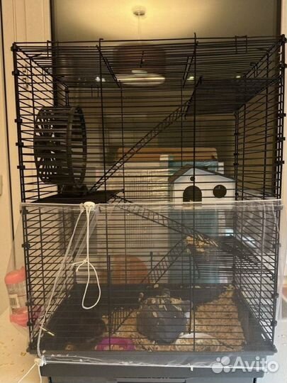 Клетка для грызунов и попугаев
