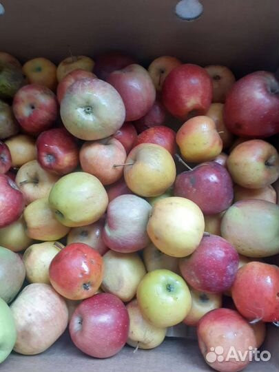 Продукты питания на корм для животных