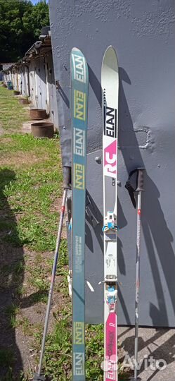 Горные лыжи