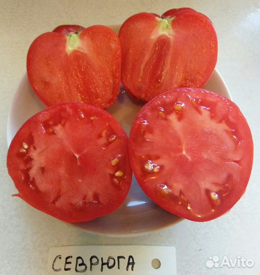 Семена томатов редких сортов