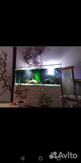 Изготовление аквариумов на заказ