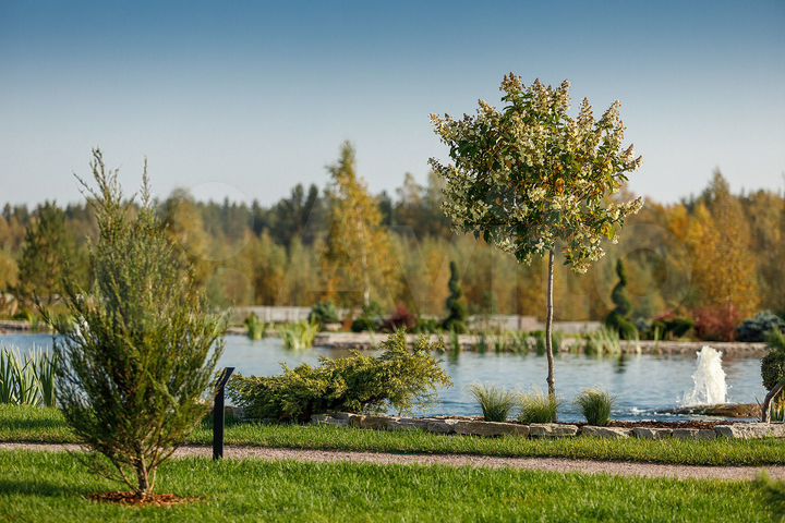 Участок 20 сот. (СНТ, ДНП)