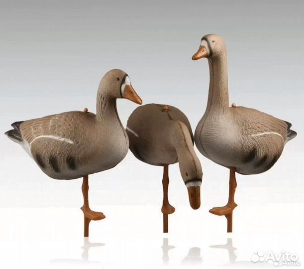 Чучела гусей