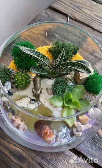 Флорариум с суккулентами 