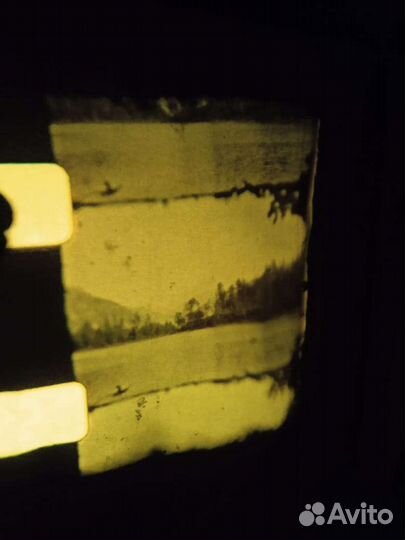 Оз. фролиха 1964 год