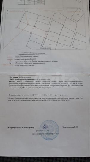 Участок 10,7 сот. (СНТ, ДНП)