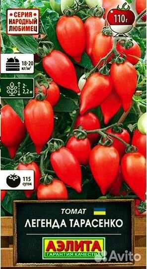 Рассада помидор