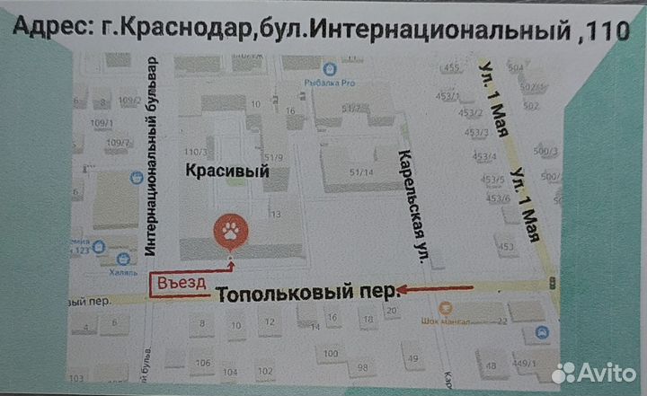 Ветеринарный врач