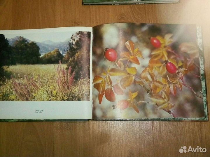 Фотоальбомы СССР