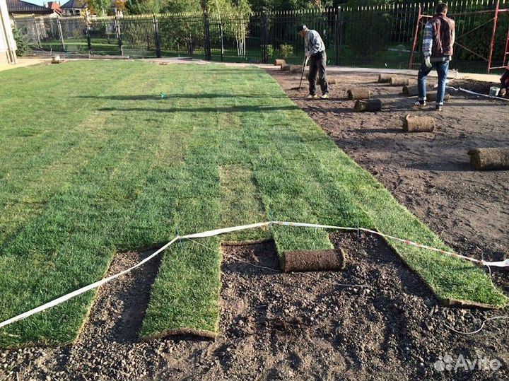 Изумрудный рулонный газон для вас в Можайск