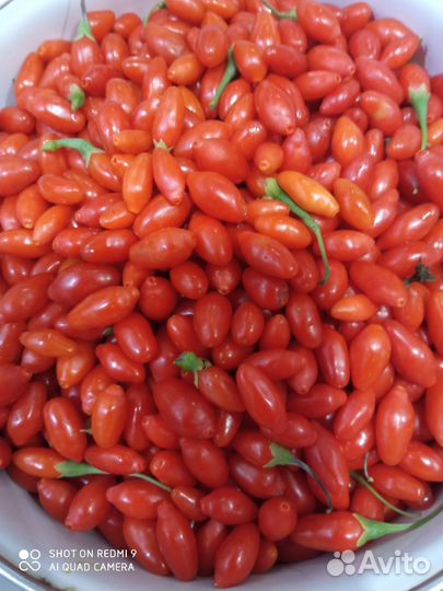 Кустарники