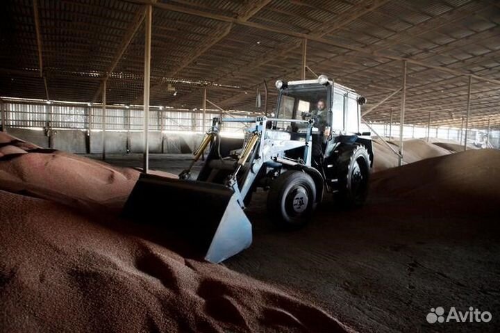 Зерно в ассортименте