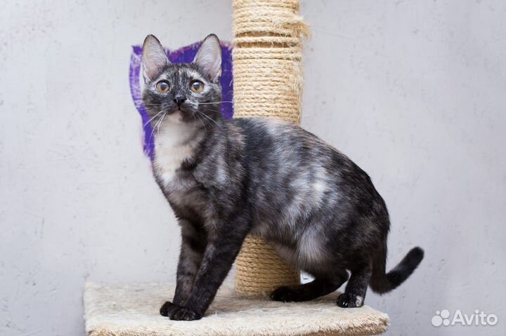 Особенная малышка Корица ищет семью