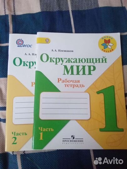 Окружающий мир 1 класс плешаков