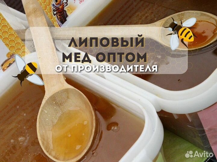 Оптом Липовый мед свежий