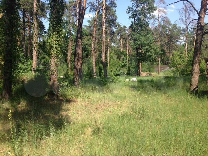 Участок 20 сот. (СНТ, ДНП)