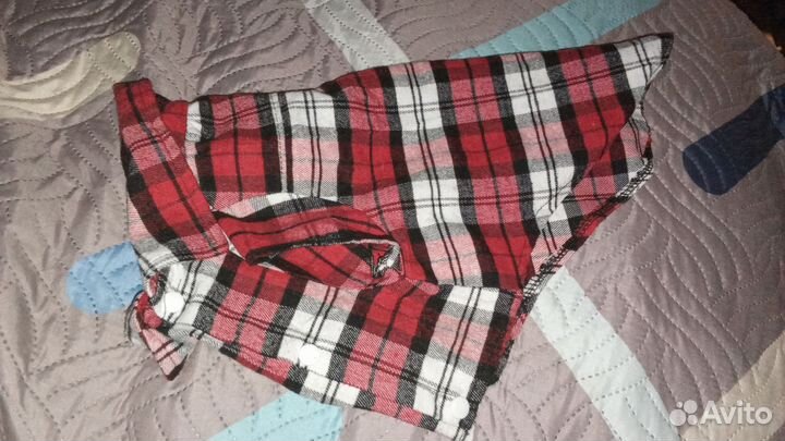 Рубашка для собачки