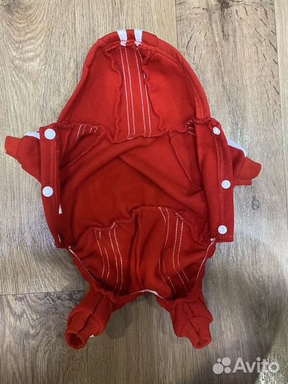 Костюм для собаки