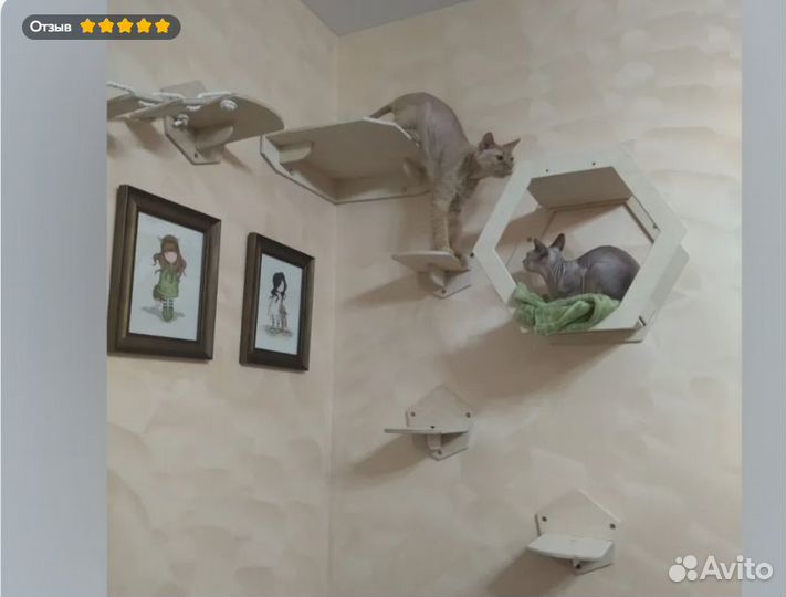 Комплекты настенных аксессуаров для котиков