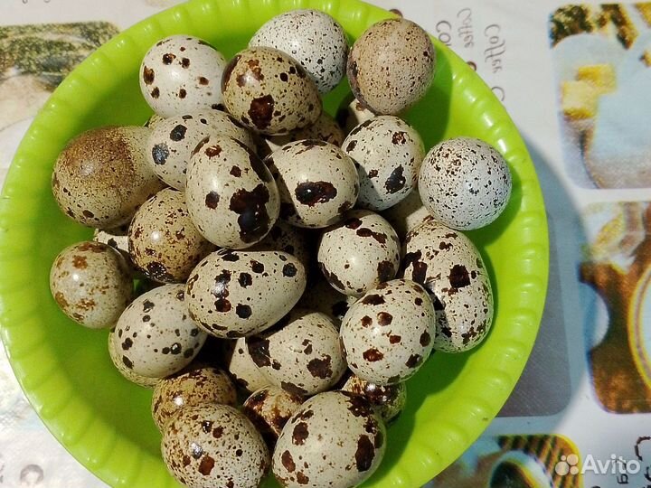 Яйца перепелиные