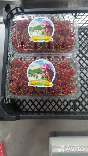 Оптовая продажа красной смородины