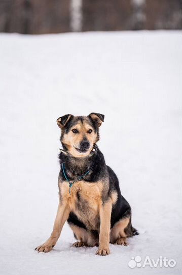 Скромный ласковый парень ищет своего человека