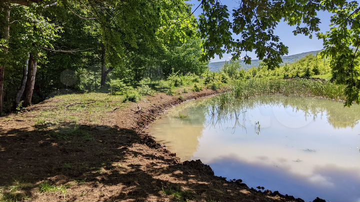 Участок 5,5 га (СНТ, ДНП)