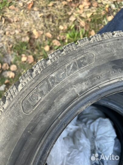 Tigar Ice 185/65 R15