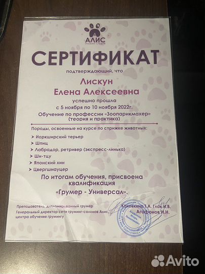 Груминг собак и кошек