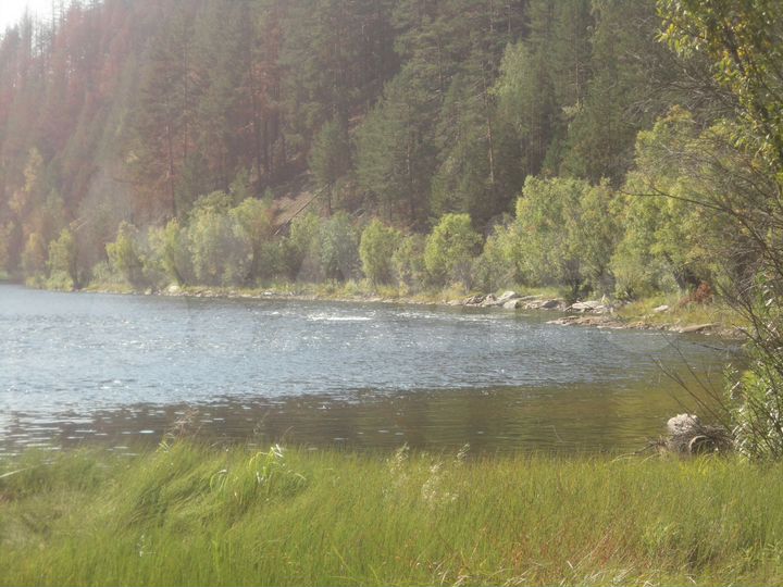 Участок 28,84 га (СНТ, ДНП)