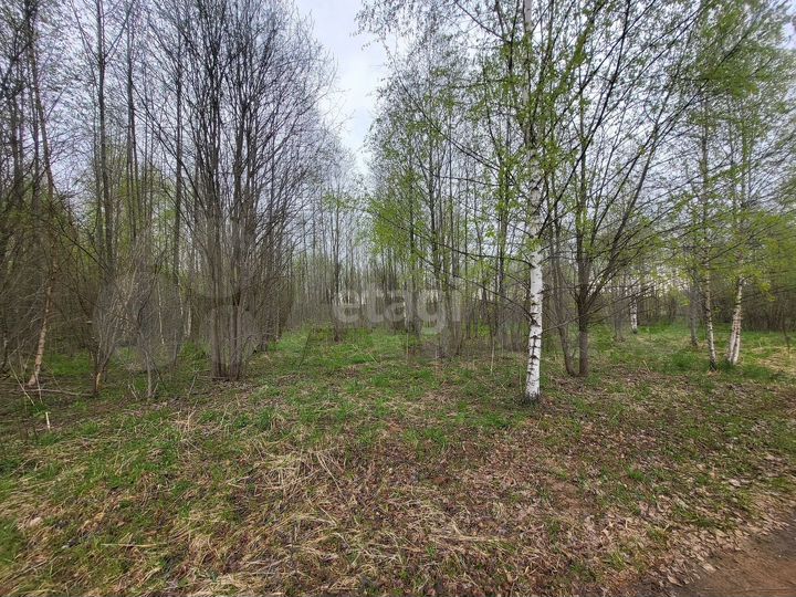 Участок 31,5 сот. (ИЖС)