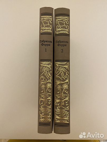 Габриэль Ферри