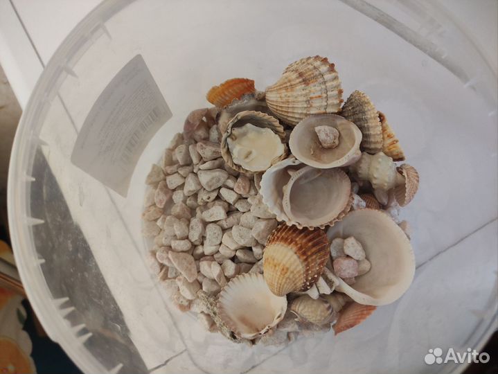 Аквариум круглый 10л