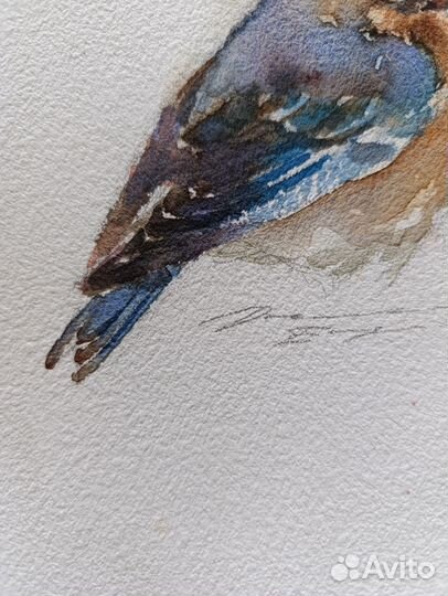 Работа акварель 