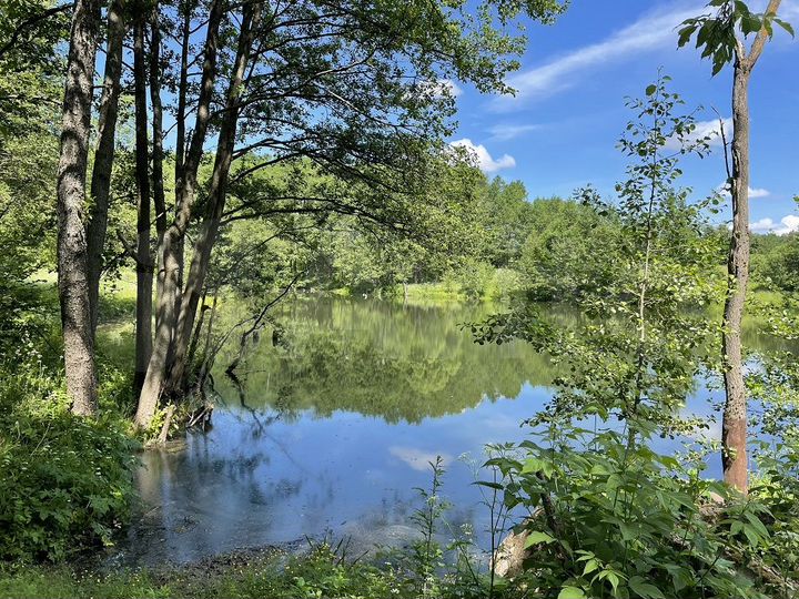 Дом 90,8 м² на участке 7,5 сот.