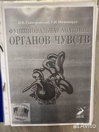 Кипа материалов по анатомии