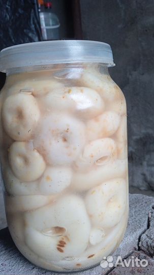 Грузди соленые