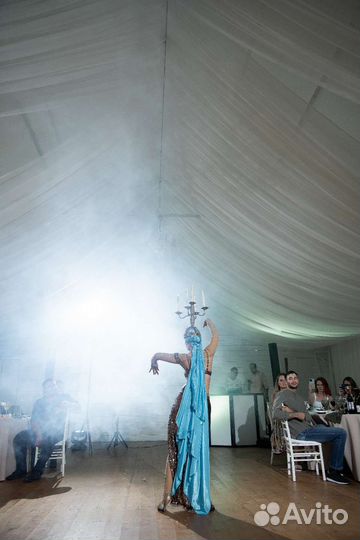 Танец живота на праздник