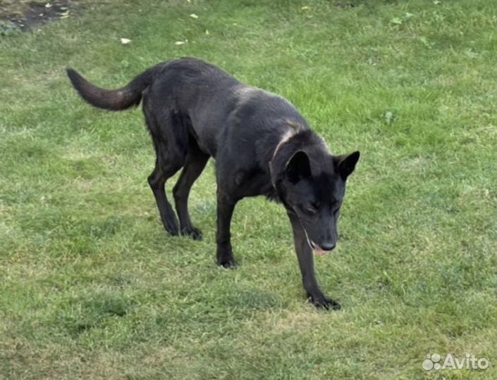 Кабель для вязки