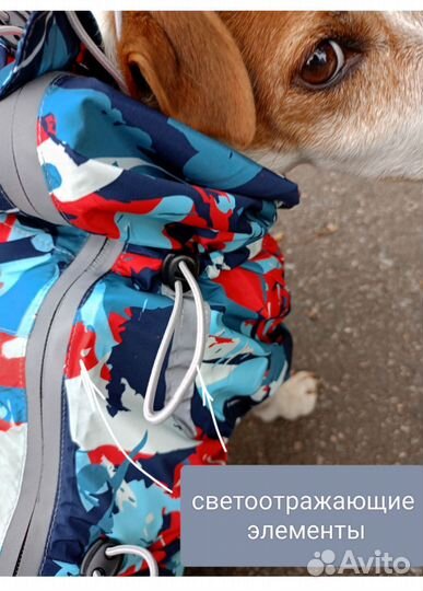 Дождевик - комбинезон для собак средних пород