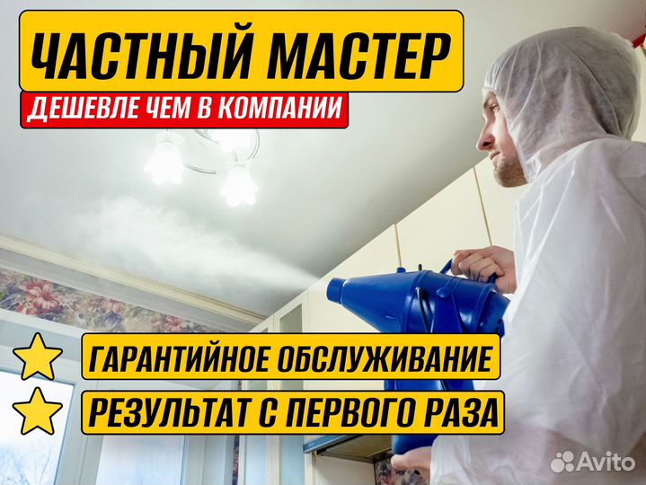 Уничтожение клопов тараканов мух блох Дезинфекция