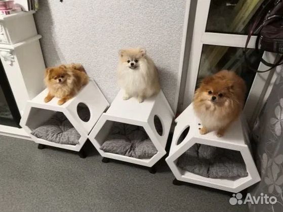 Домик для собак и кошек / Вольер для собак